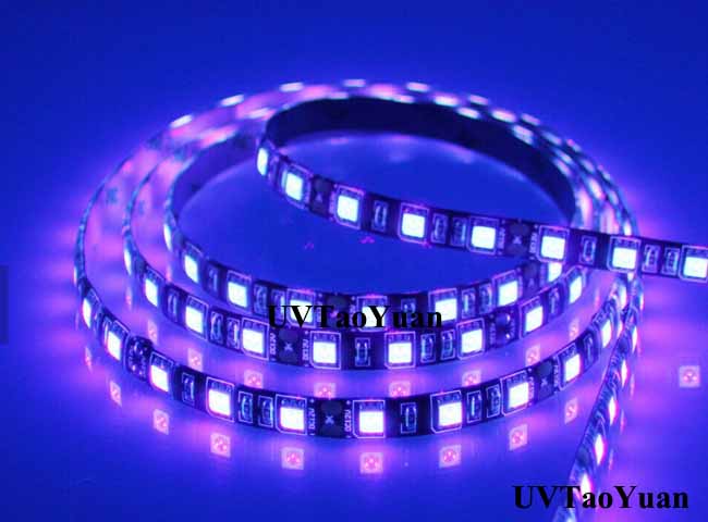 UV LED Strip Light SMD5050 395-405nm 1M/60LED